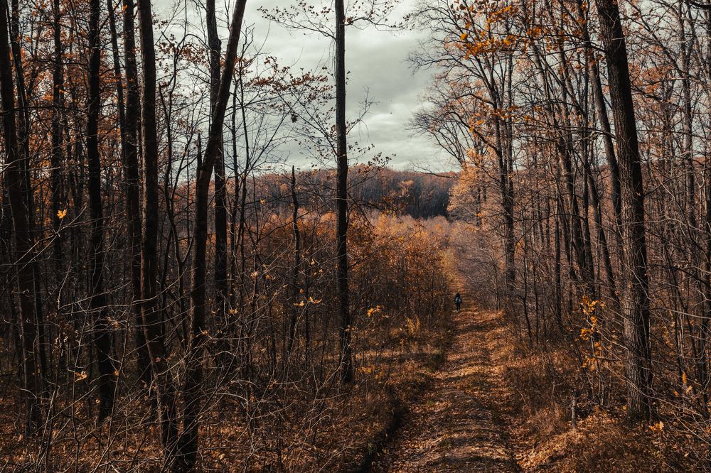 Photograph by Андрей Серый