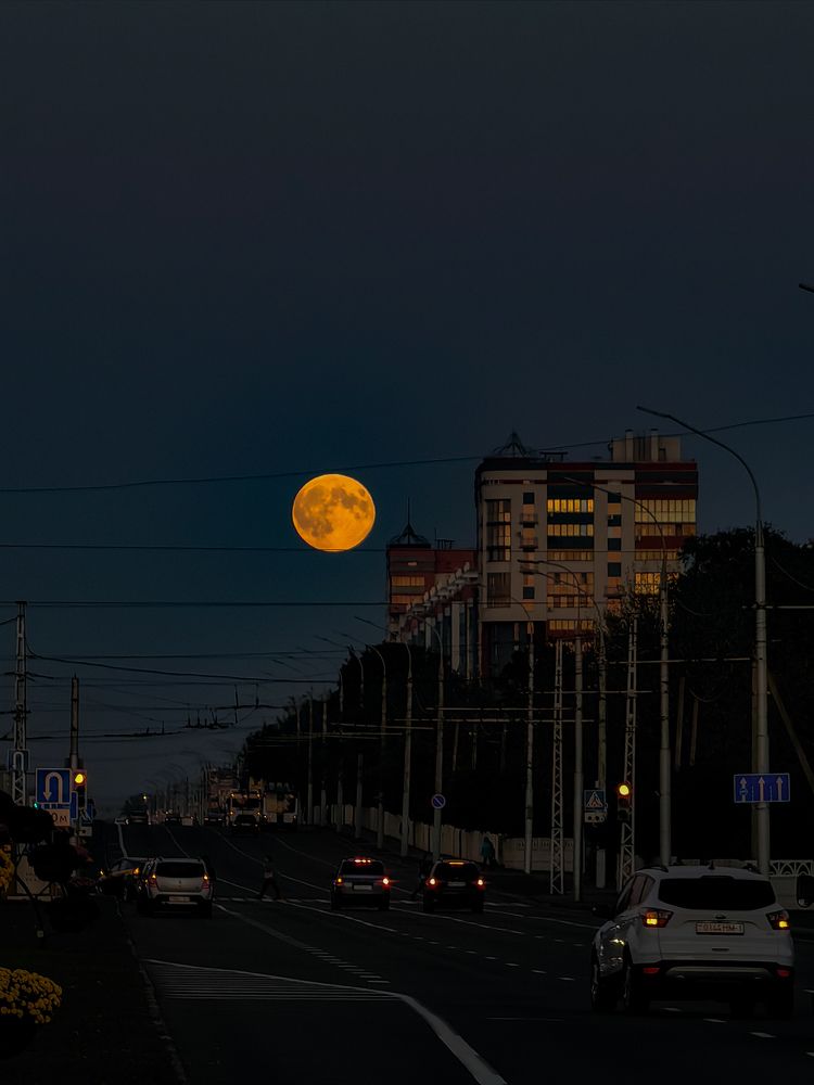 Фотография автора Ольга Панасюк