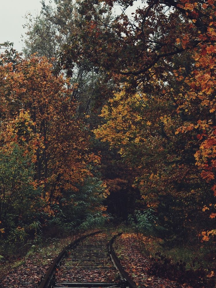 Photograph by Nastassia Krychautsova