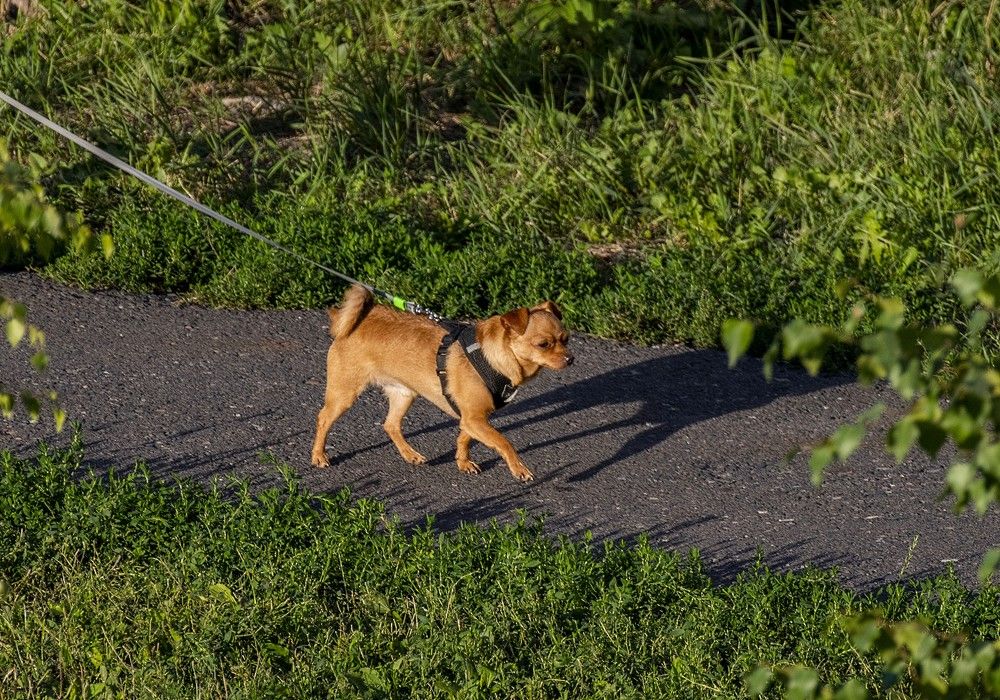 Photograph by Сиваков Алексей
