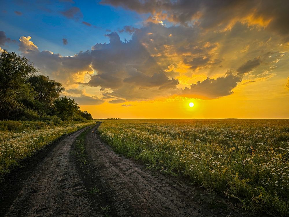 Photograph by Елена Сиушова