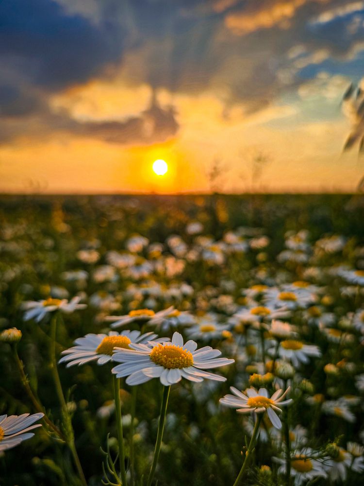 Photograph by Елена Сиушова