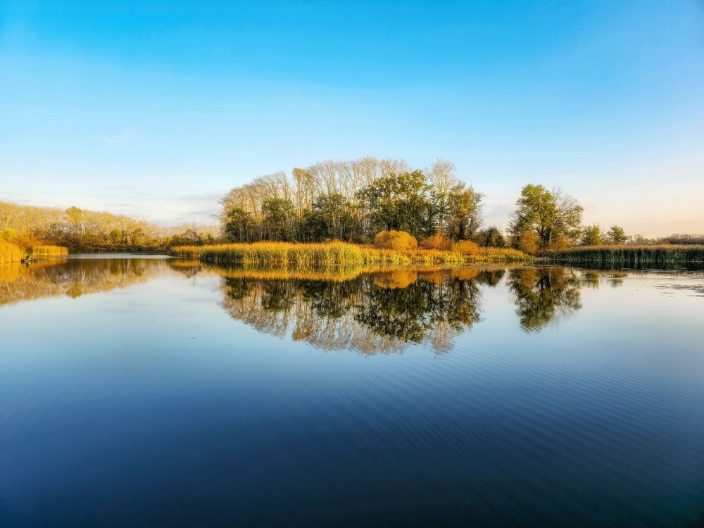 Photograph by Игорь Кабанов