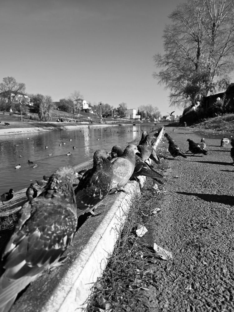 Photograph by Елена Сиушова