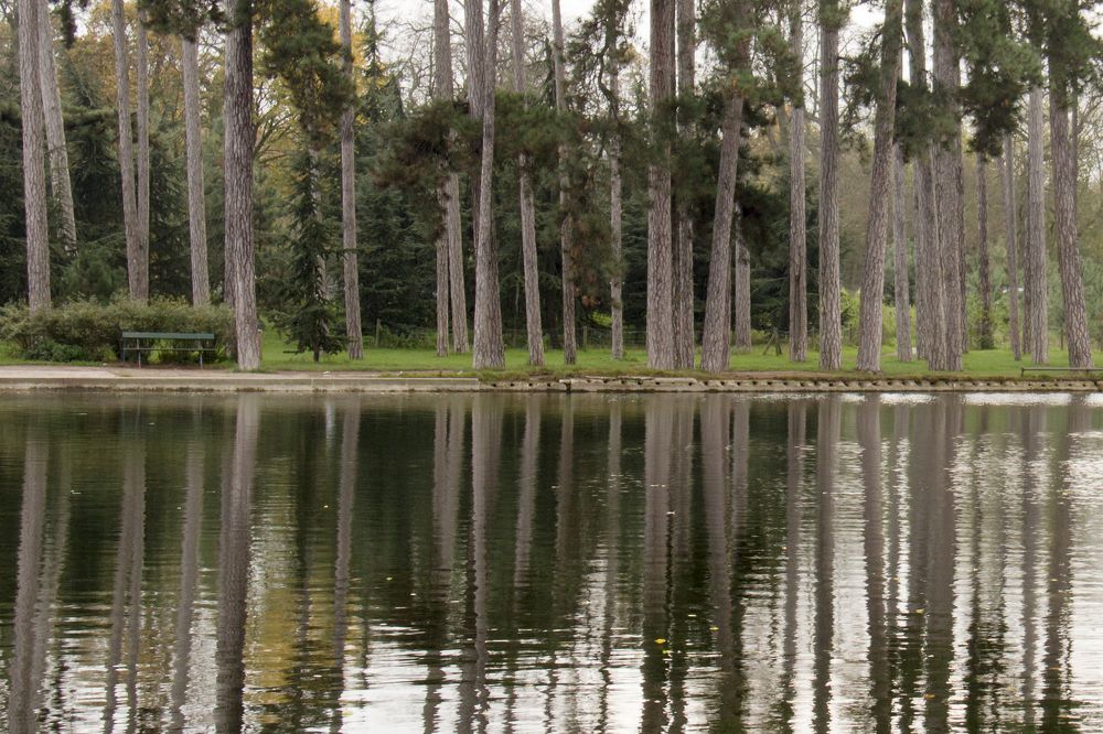 Photograph by Анатолий