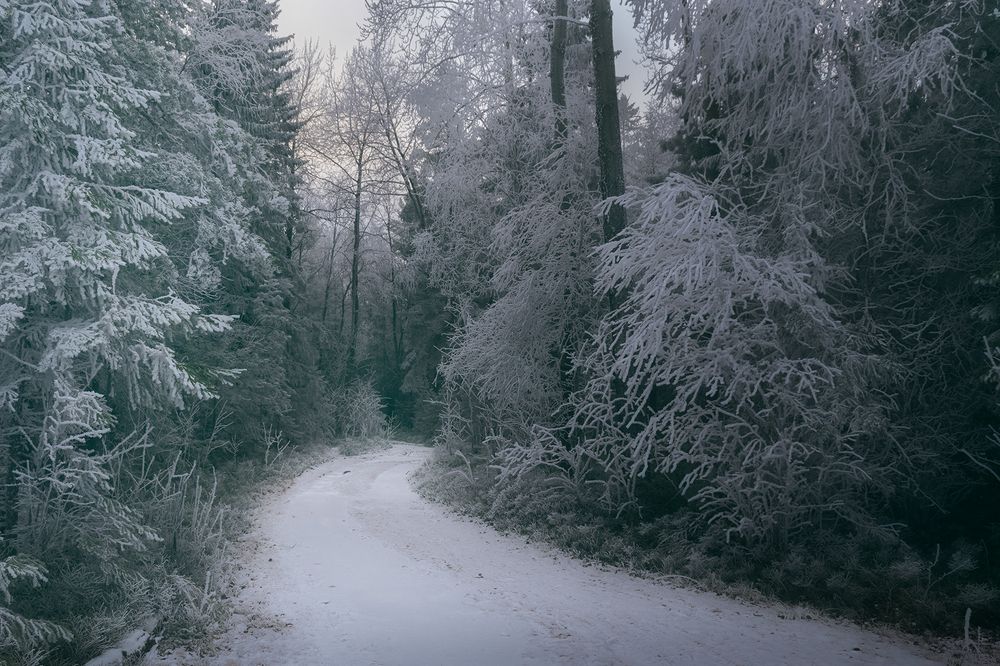 Photograph by Елена Амозова