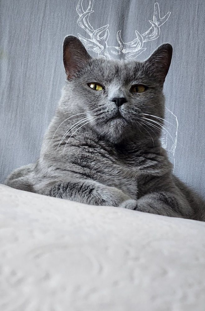 Чьих будете?