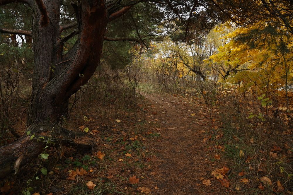 Photograph by Светлана Ионова