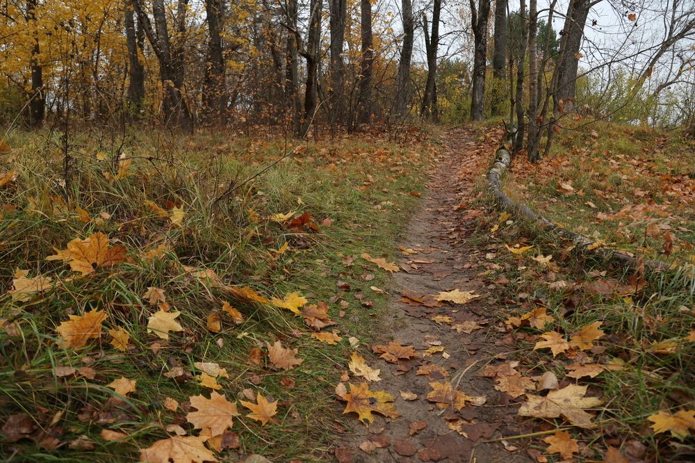 Photograph by Светлана Ионова