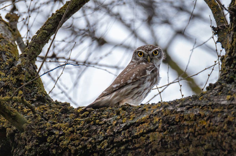 Photograph by Ramzan Davletmirzaev