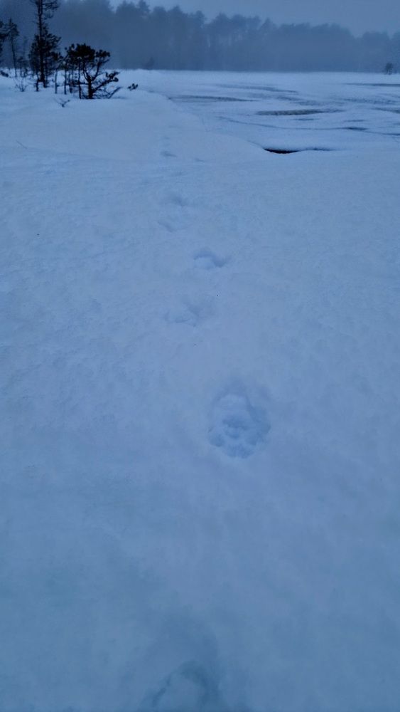 Photograph by Ljudmilla Pavljutsenkova