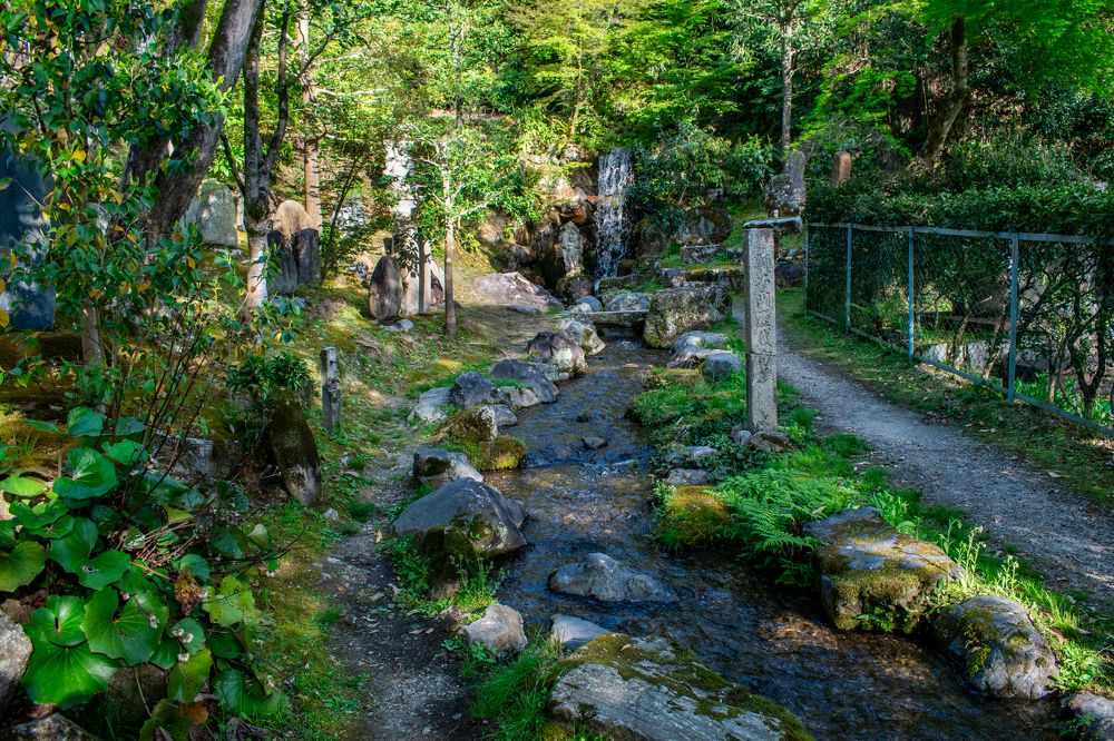 Photograph by Ivan Schaievitch