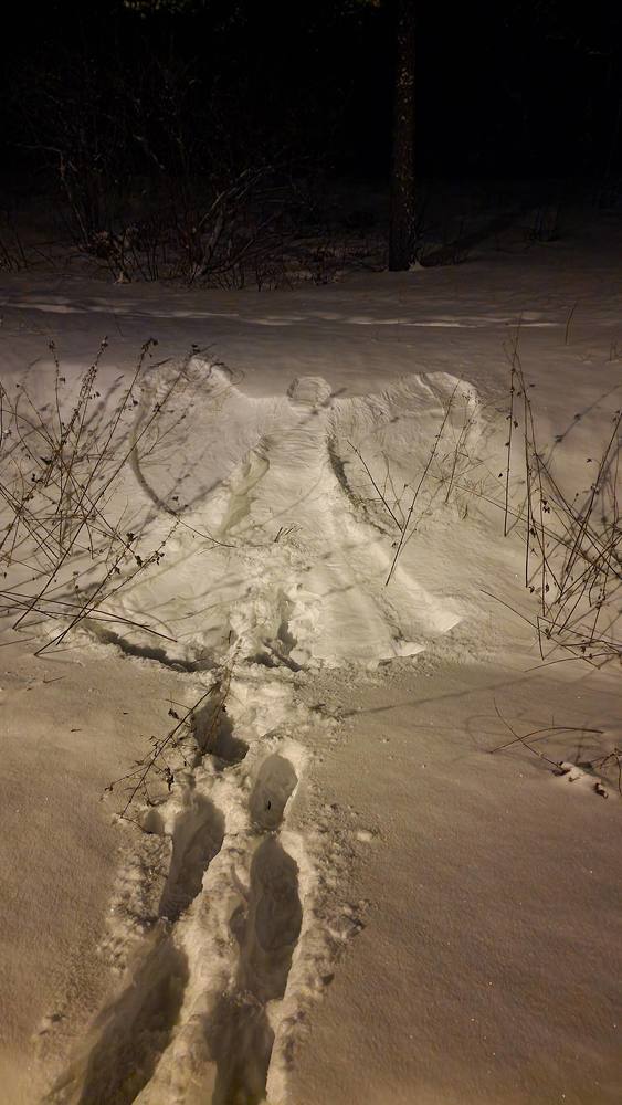 Photograph by Ljudmilla Pavljutsenkova