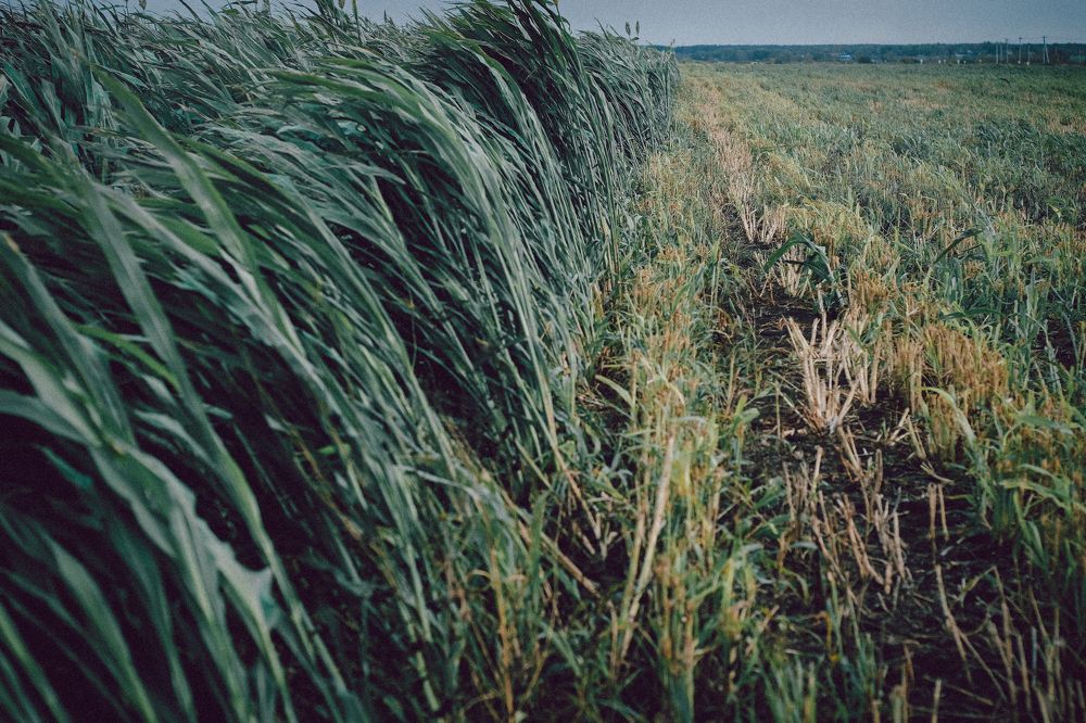 Photograph by Виктория Колышева