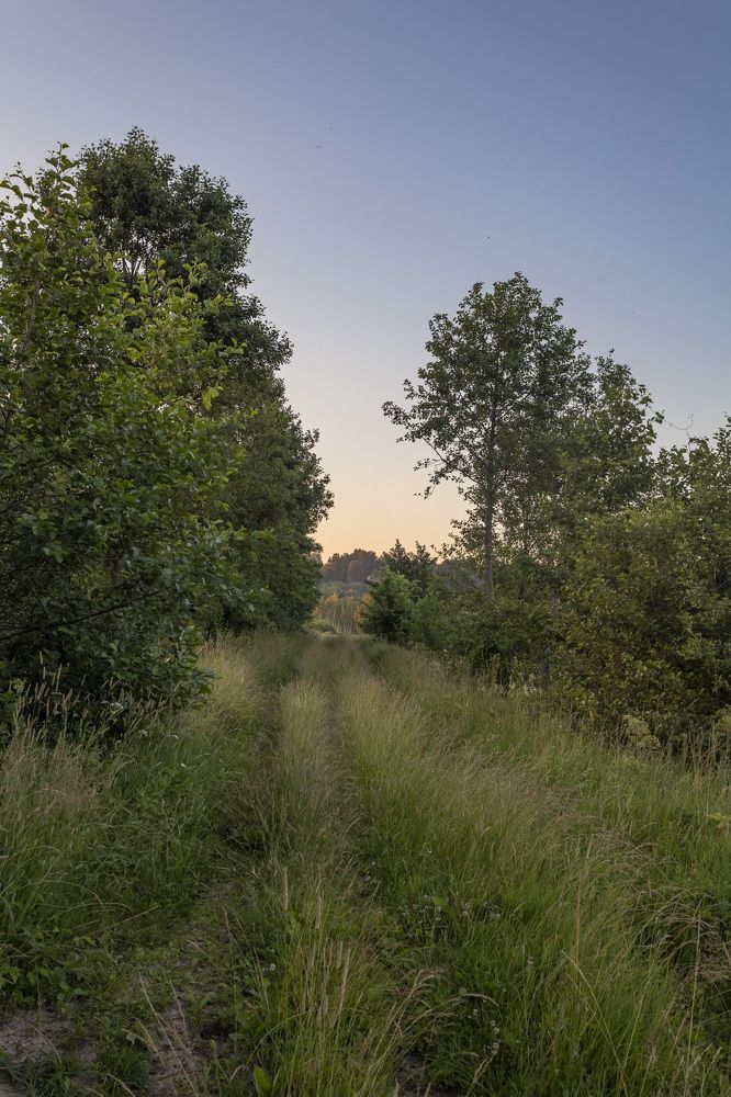 Photograph by Герман Корнеев