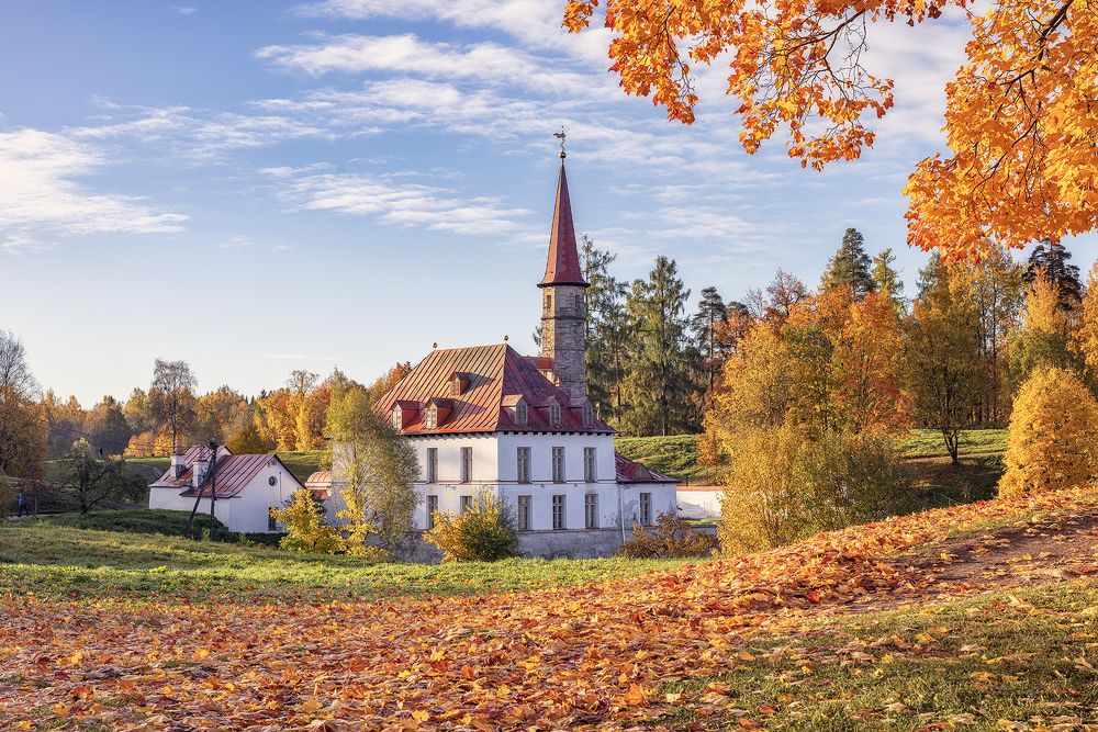 Photograph by Липецких Владимир