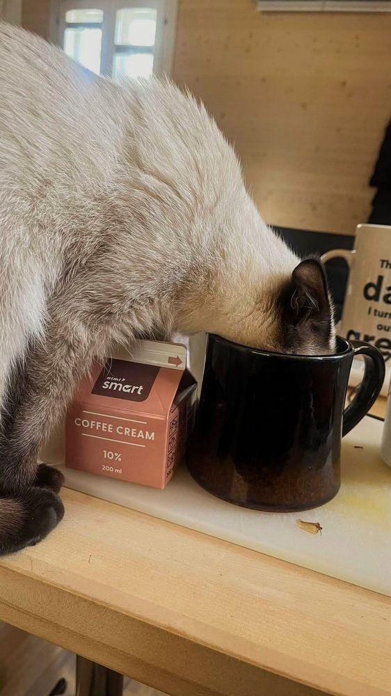 Photograph by Ljudmilla Pavljutsenkova