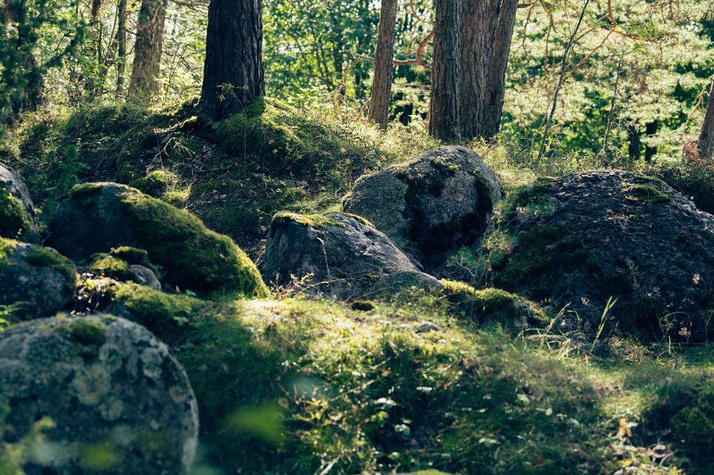 Photograph by Елена Новикова