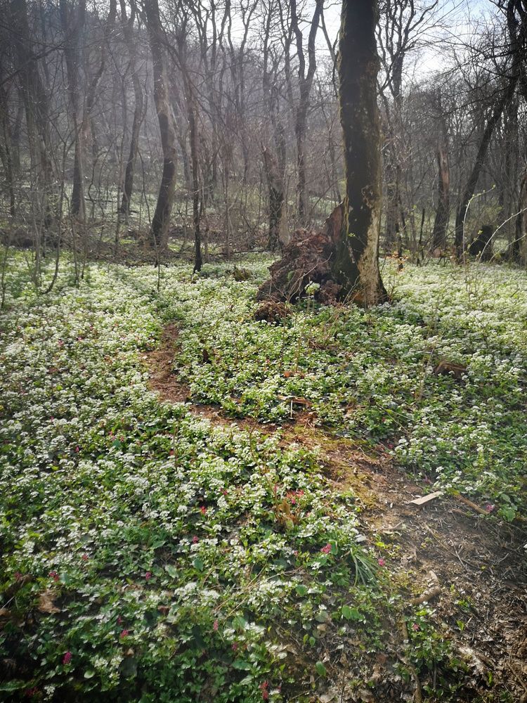 Photograph by Кривенко Владимир