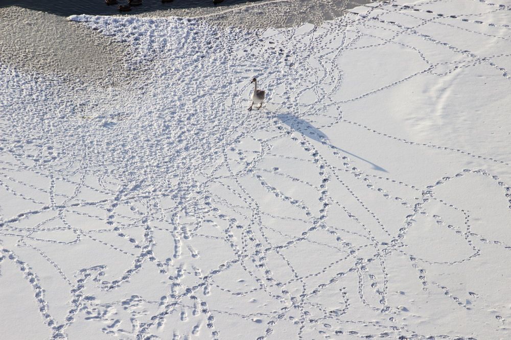 Photograph by Марина