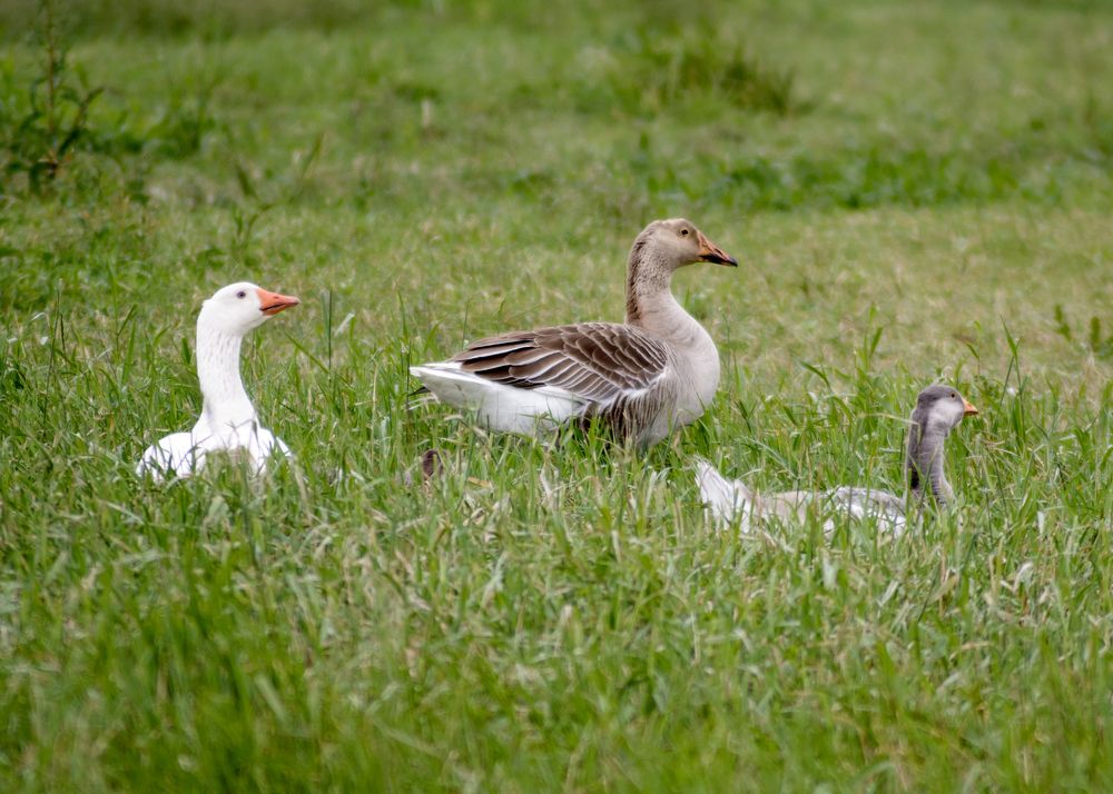 Photograph by Сергей Дишук