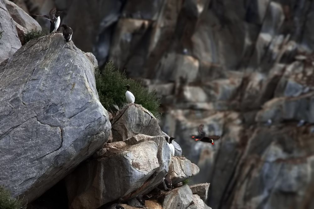 Photograph by Ольга Одаренко