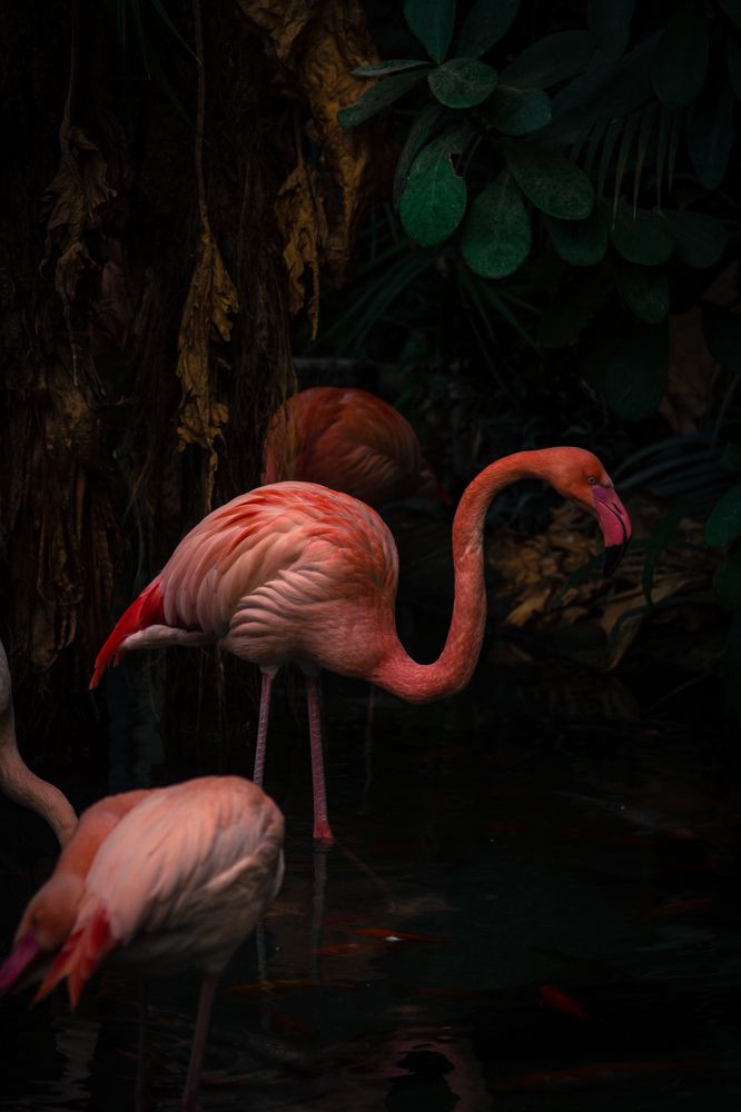 Photograph by Renaud Baldelli