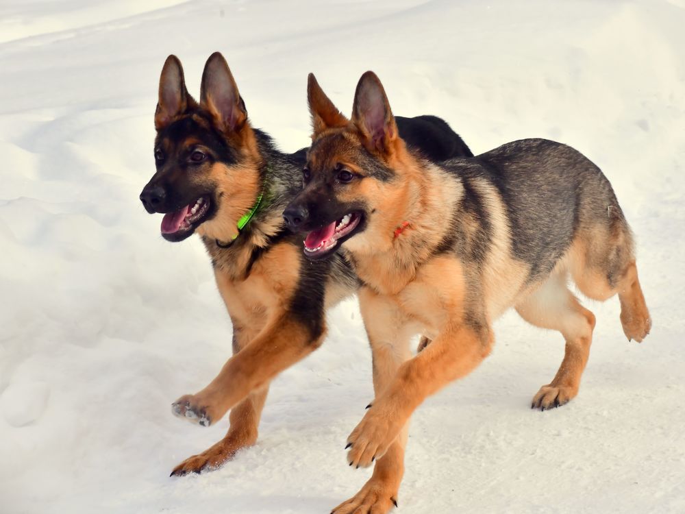 Photograph by Николай Абакумов