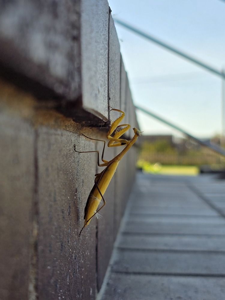 Photograph by Елена Сиушова