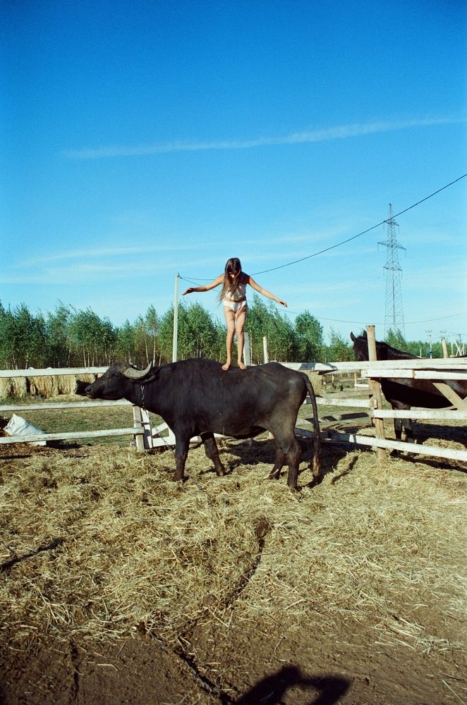 Photograph by Виктория Шаблий
