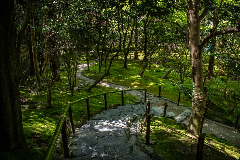 Japanese nature path