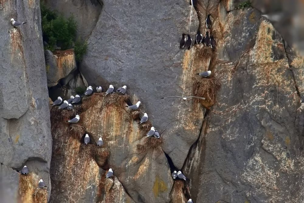 Photograph by Ольга Одаренко