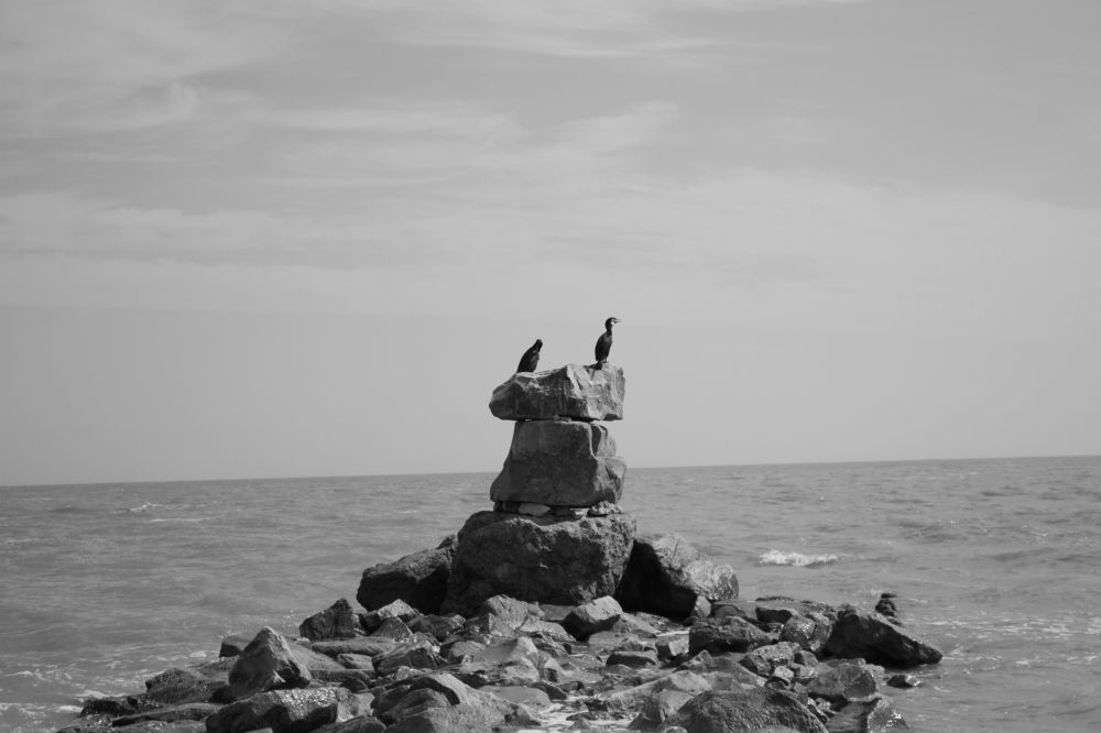 Photograph by Мария Лаврухина