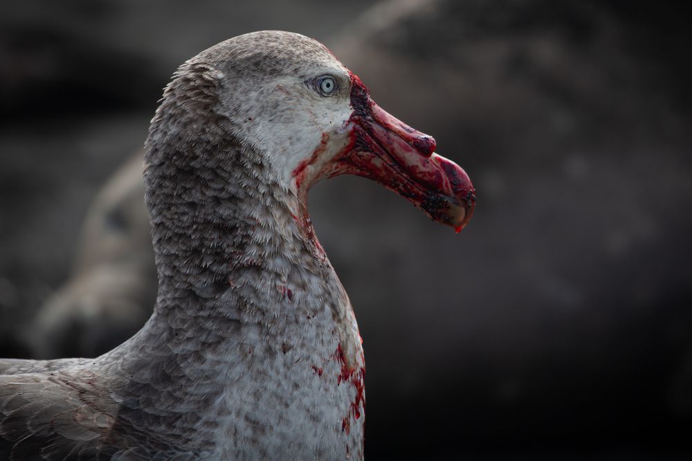 Photograph by Olviya