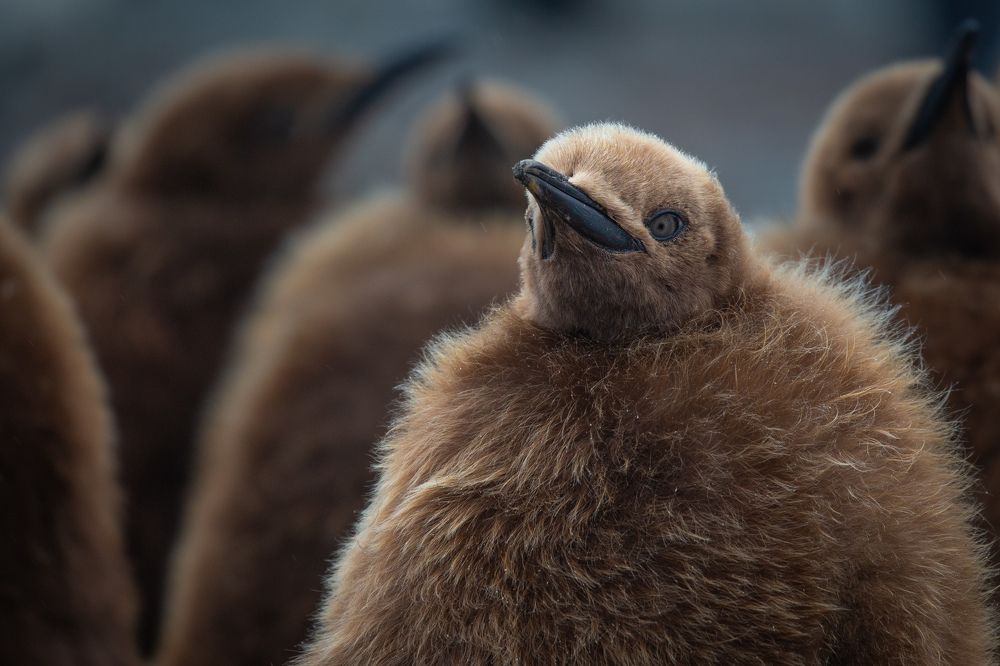 Photograph by Olviya