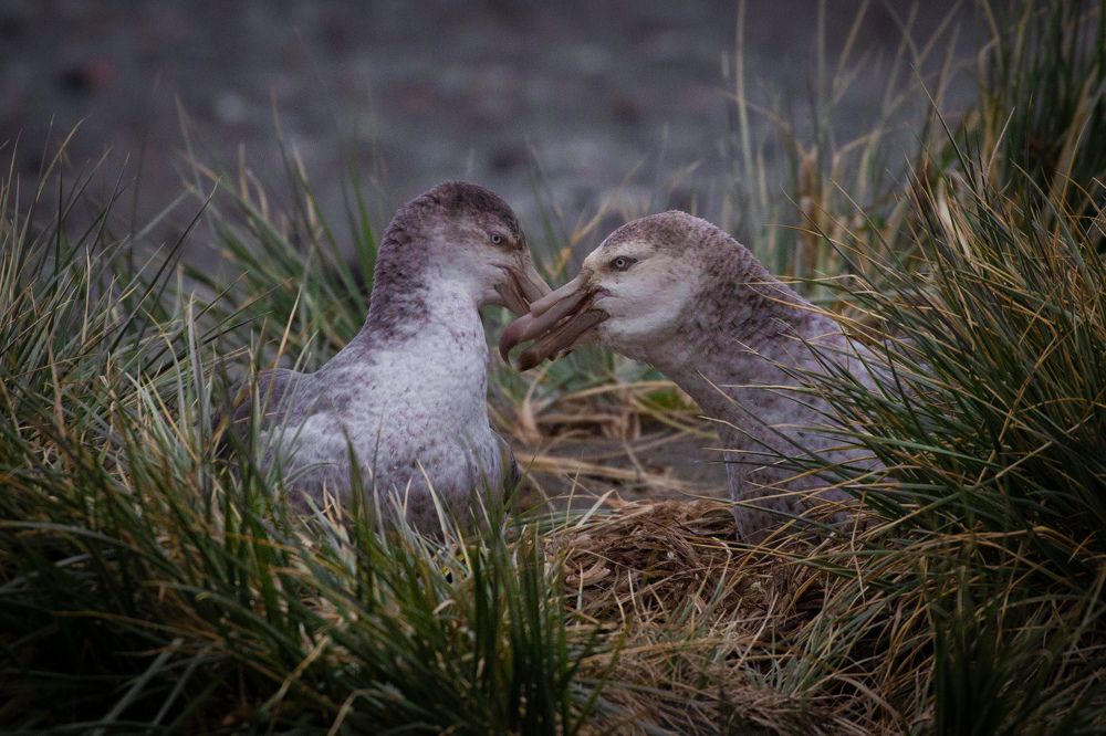 Photograph by Olviya