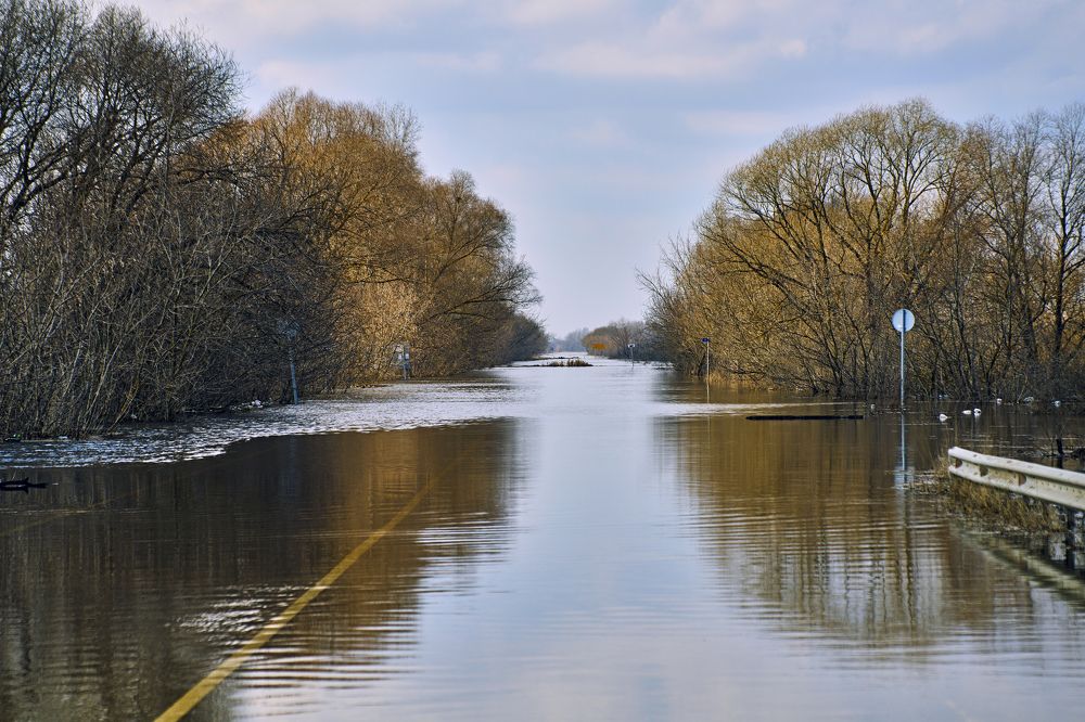 Photograph by Игорь Зиновьев