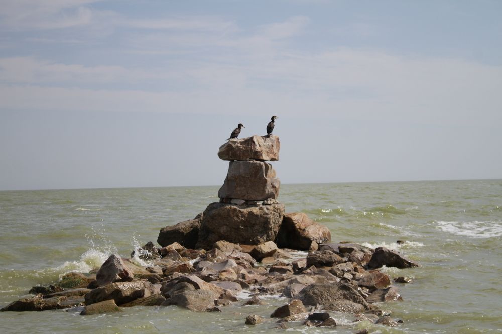 Photograph by Мария Лаврухина