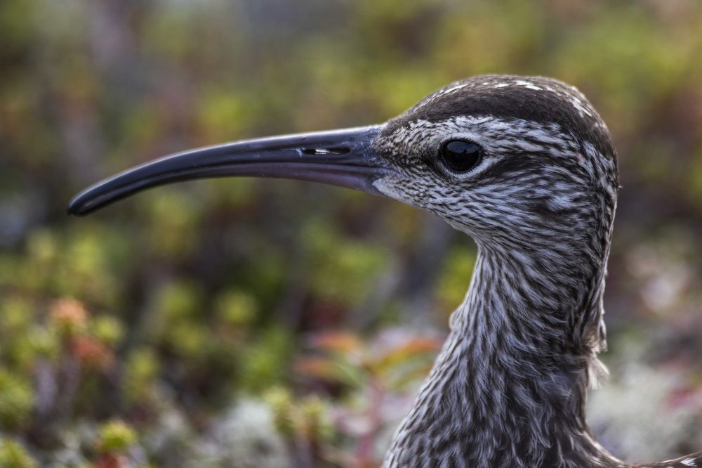 Photograph by Анастасия Рубан