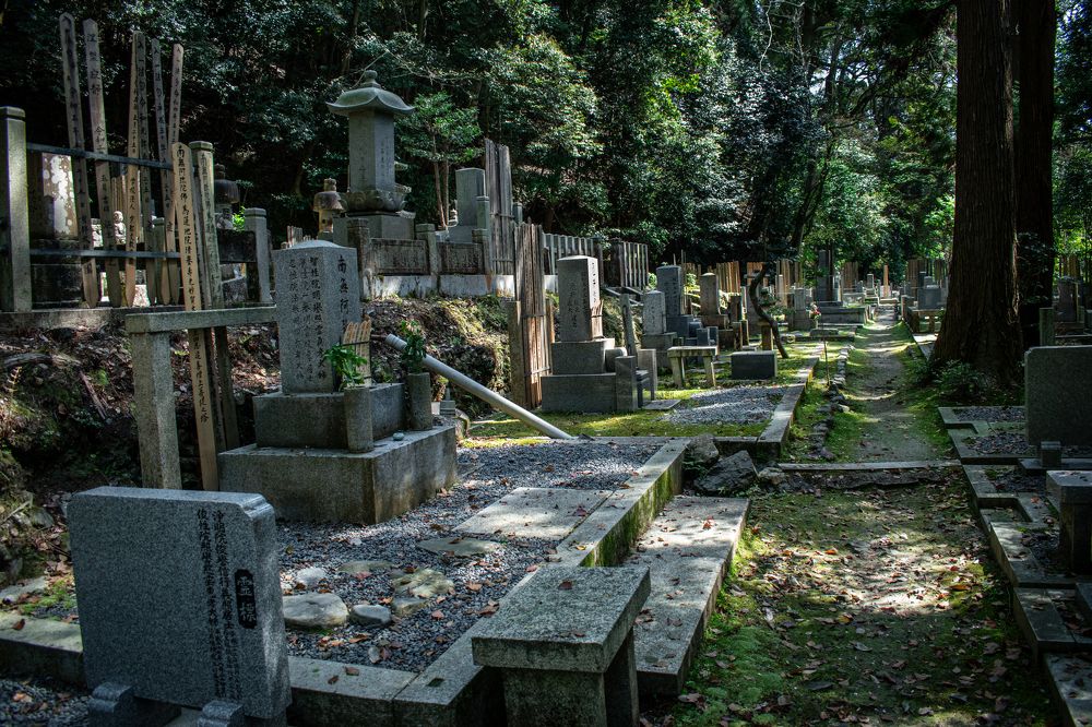 Photograph by Ivan Schaievitch