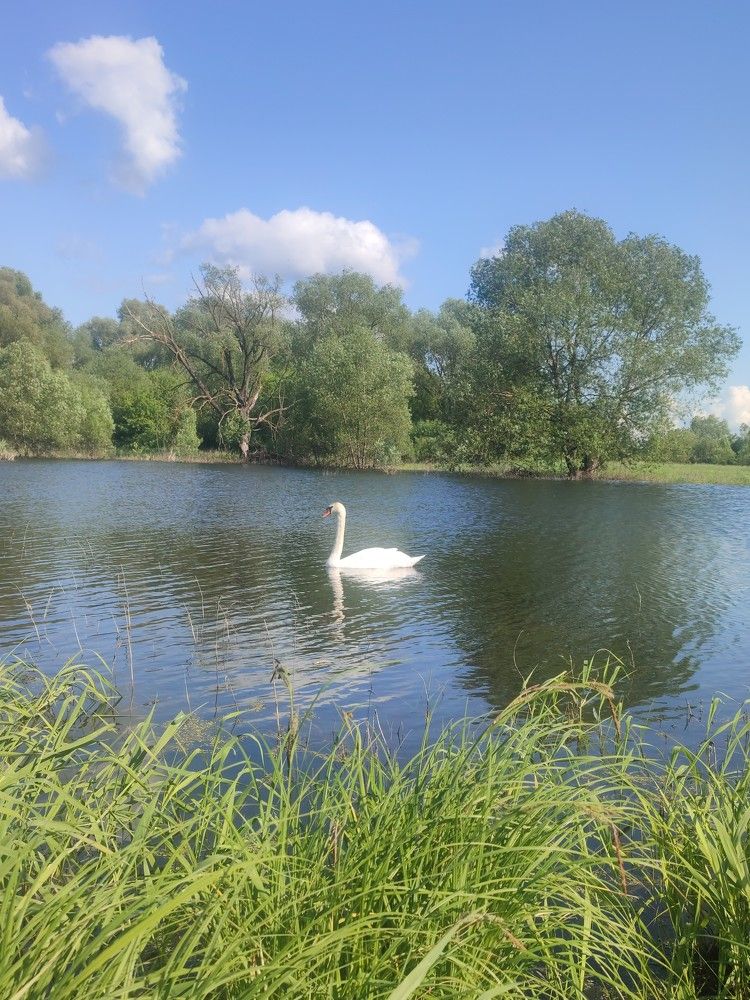 Photograph by Мария Лаврухина