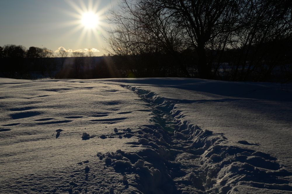 Photograph by Мирон Сергей