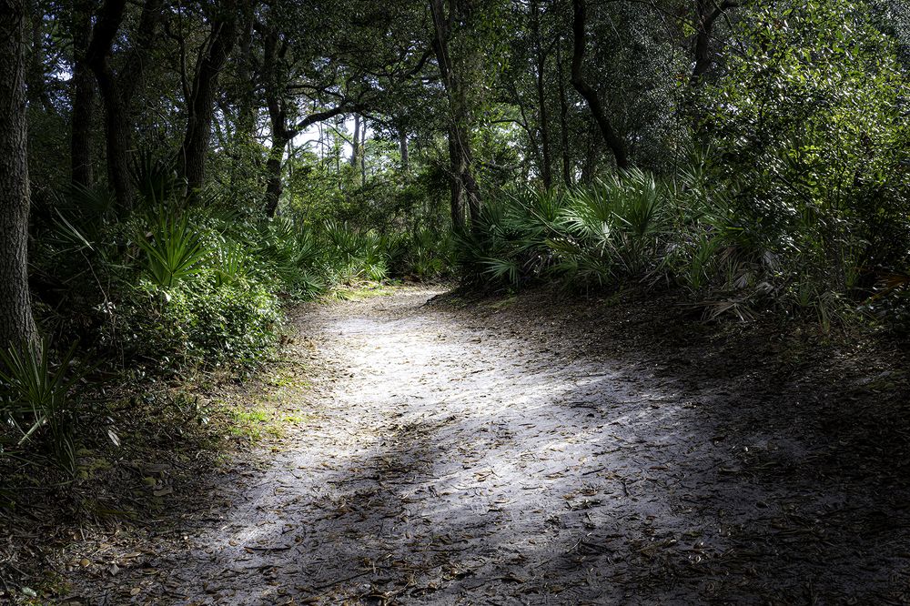 Фотография автора Ray Asiala