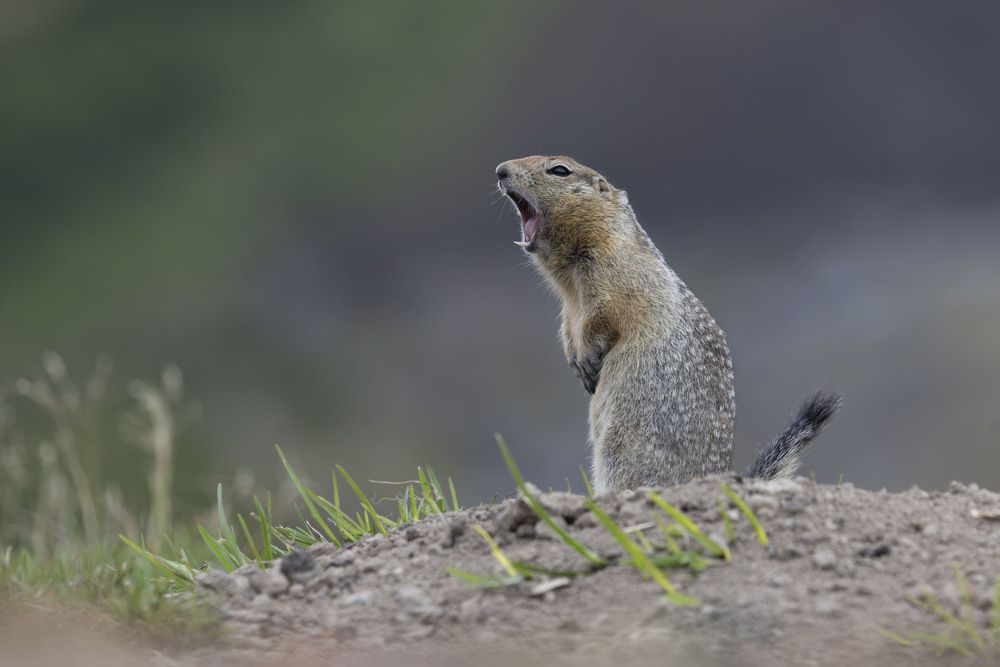 Photograph by Ольга Одаренко