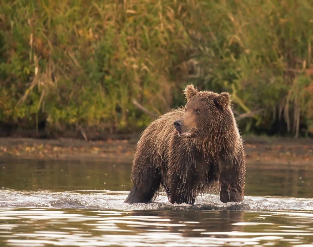 Photograph by Ольга Одаренко
