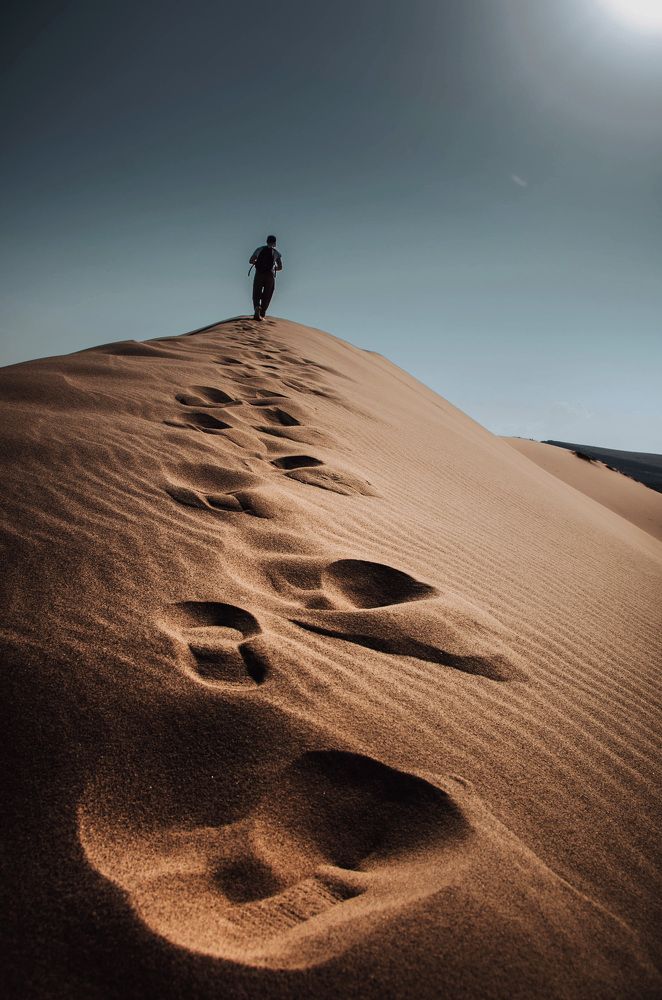 Photograph by Элен Пройс