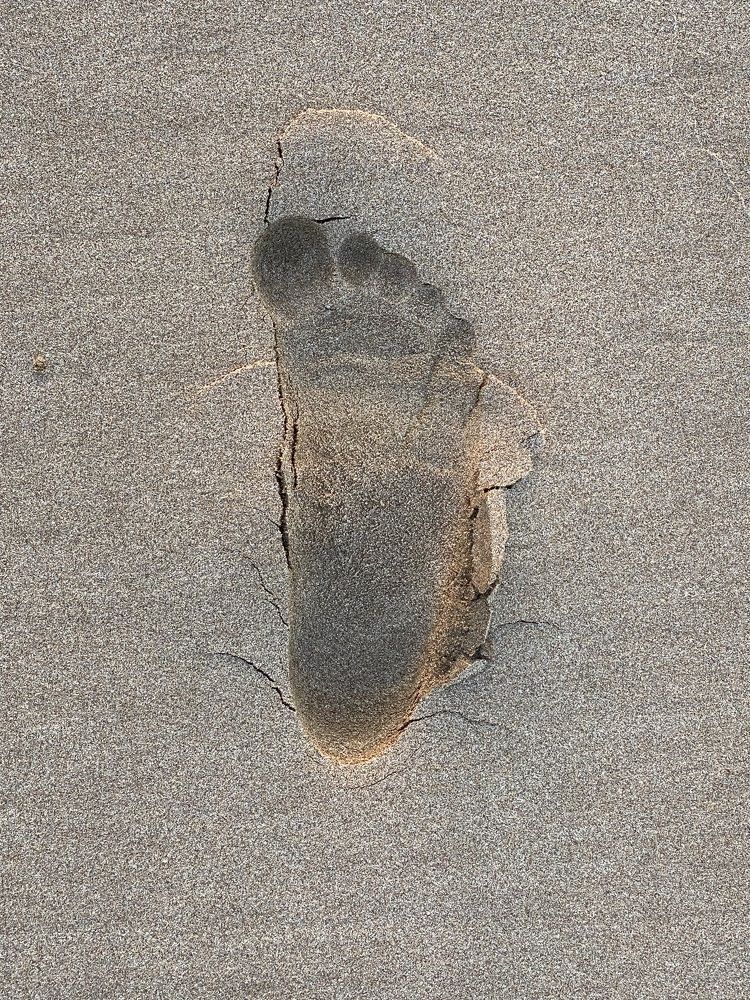 Photograph by Waleed Yousuf Alwahaibi