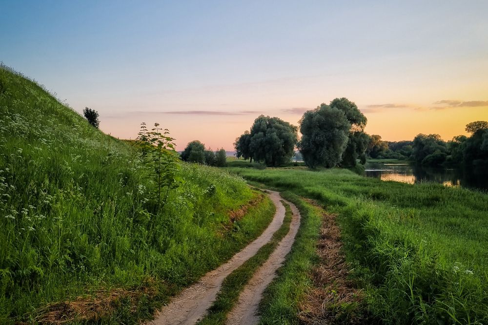 Photograph by Элен Пройс