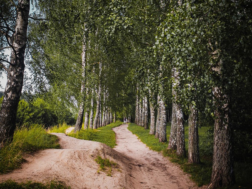 Photograph by Элен Пройс