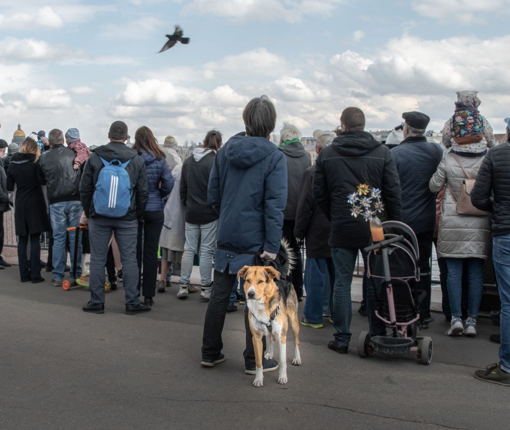 Photograph by Анна Стрелковская